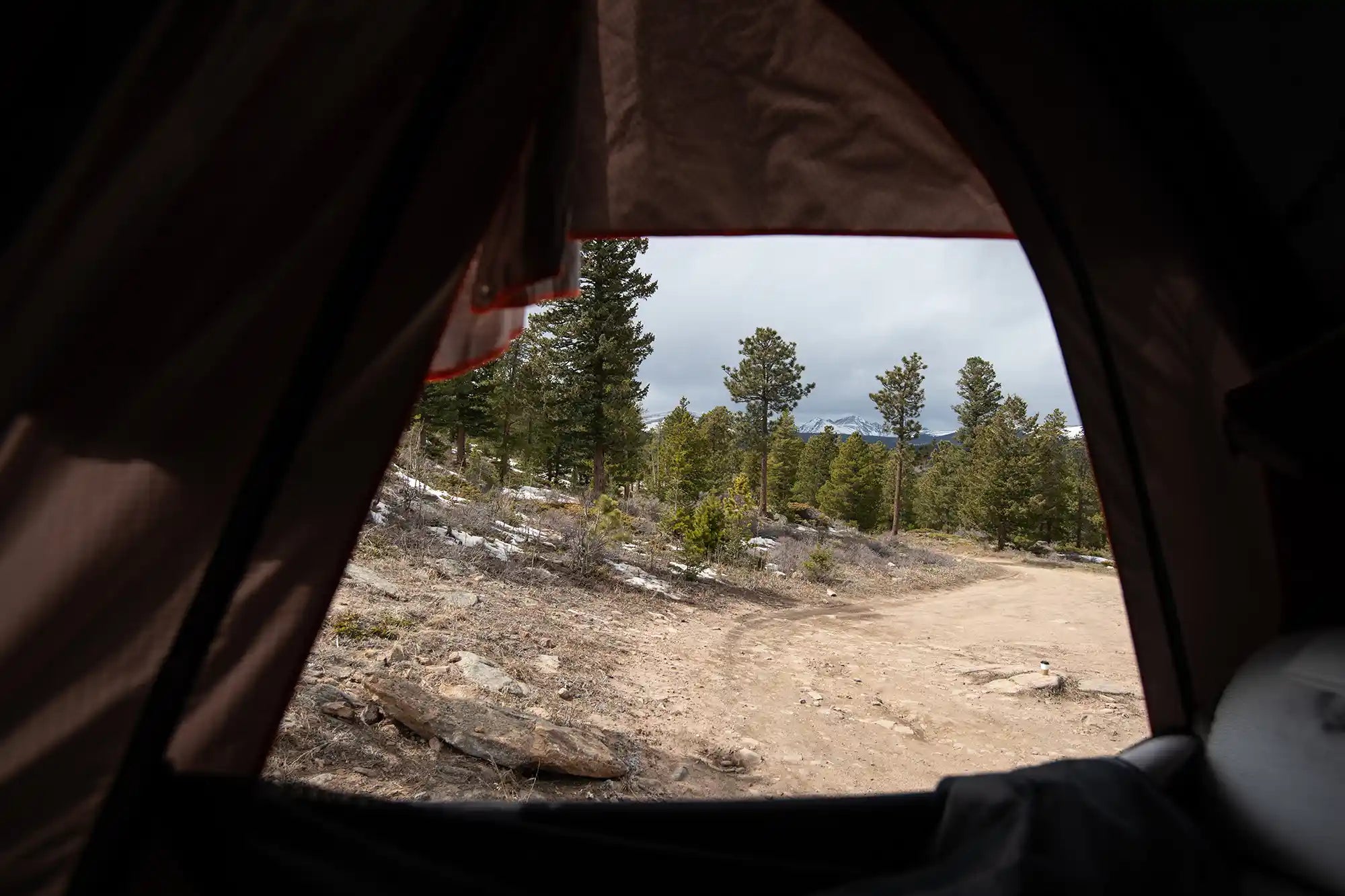 View from inside a roof top tent looking out onto a forested landscape with trees and a dirt path.